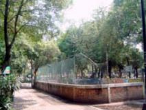 pozo