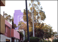 Foto: Arturo Olmedo